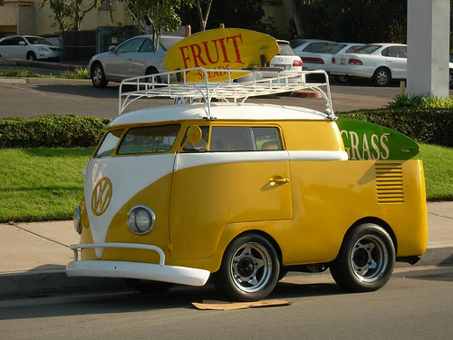 VW Bully